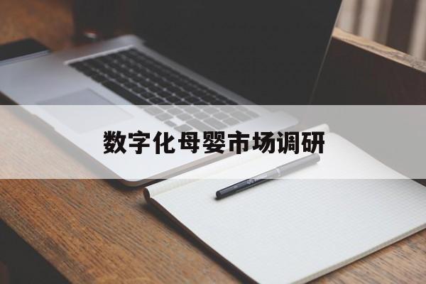 兰州市数字化母婴市场调研(数字化母婴市场调研报告)
